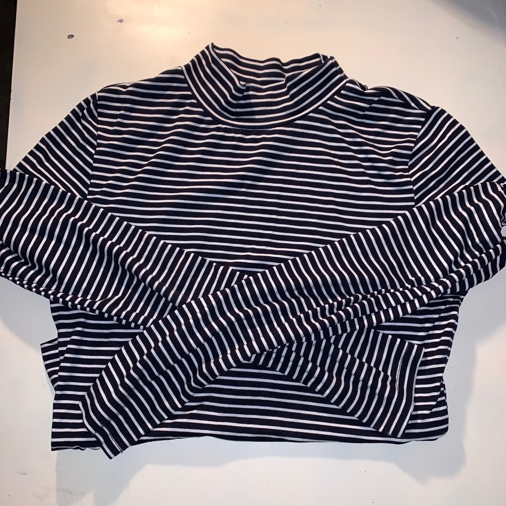 cropped turtle neck